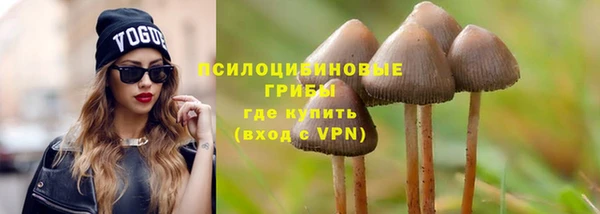 mdpv Няндома