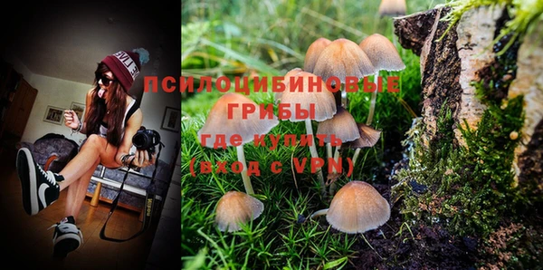 mdpv Няндома