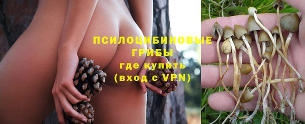 альфа пвп Нязепетровск