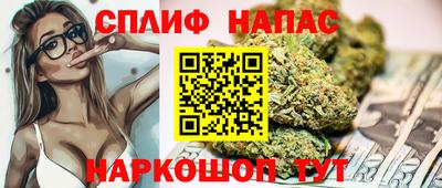 индика Кинель