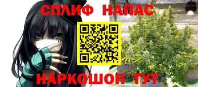 индика Кинель