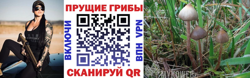 Галлюциногенные грибы прущие грибы Моздок