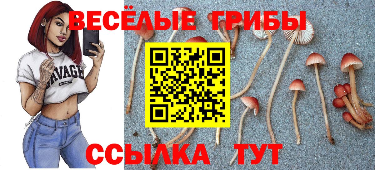 Галлюциногенные грибы мухоморы  Вход с VPN  Моздок 