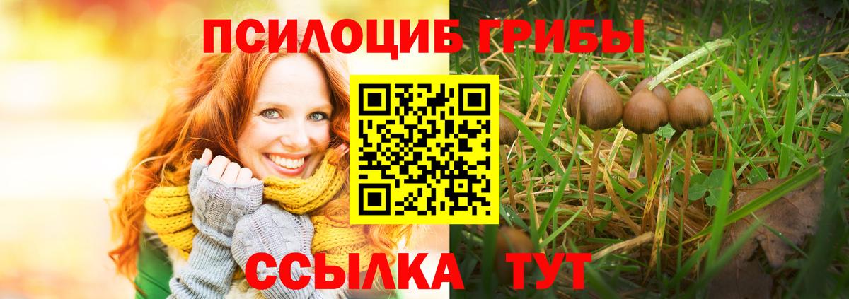 Псилоцибиновые грибы GOLDEN TEACHER  хочу наркоту  Моздок 