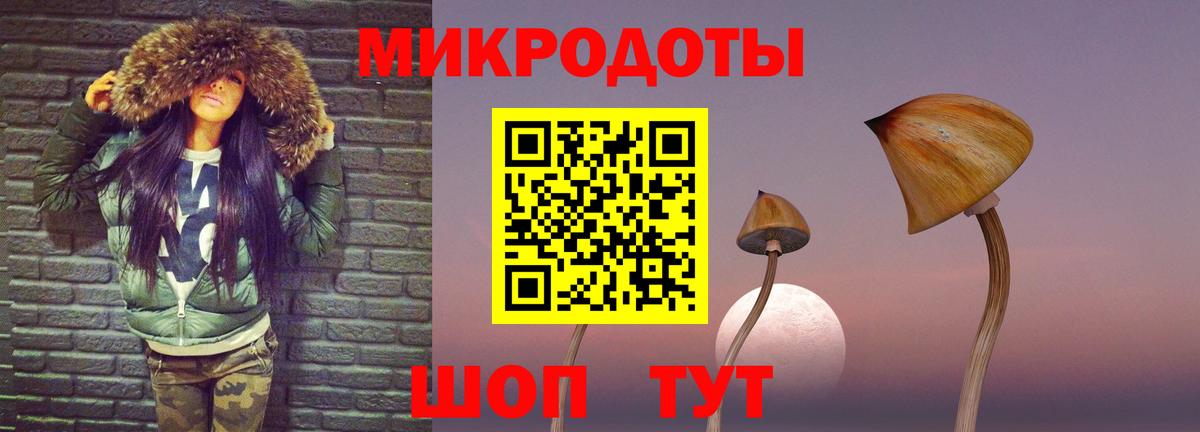 Галлюциногенные грибы Psilocybe Моздок